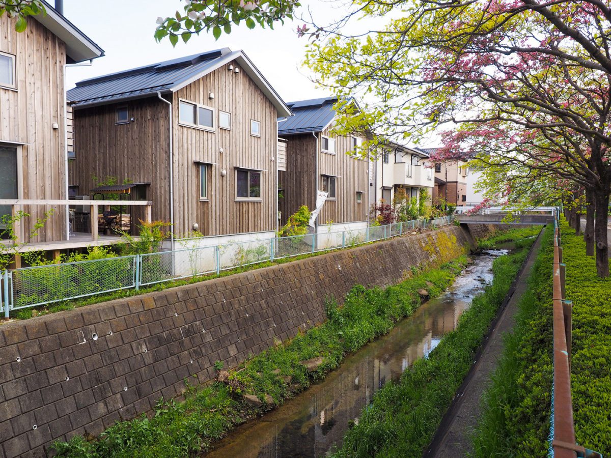 さまざまな野鳥が訪れる自然豊かな環境