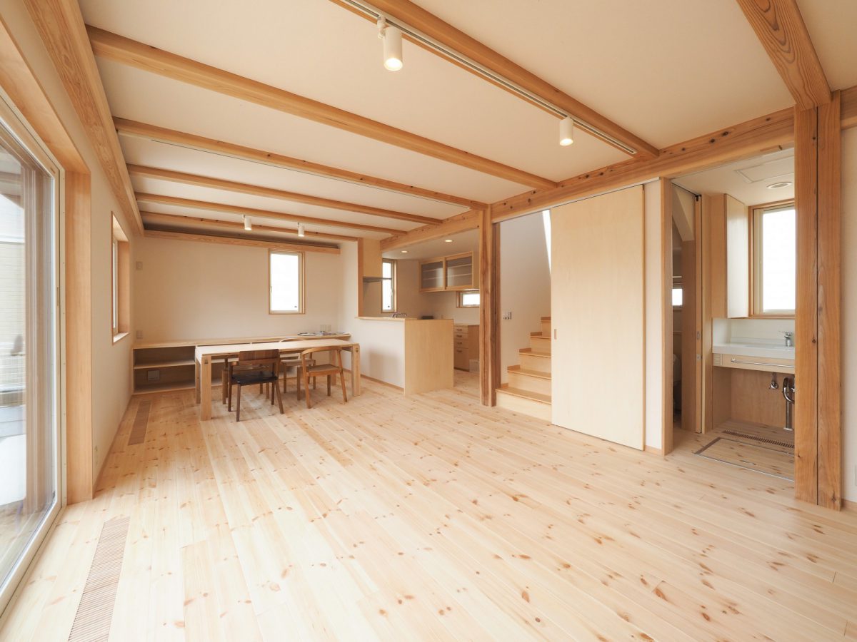 南側からの太陽の光が気持ちよく入ってきます（今回の見楽会の建物です）