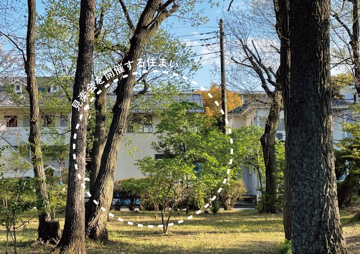 敷地北側の公園から撮影
