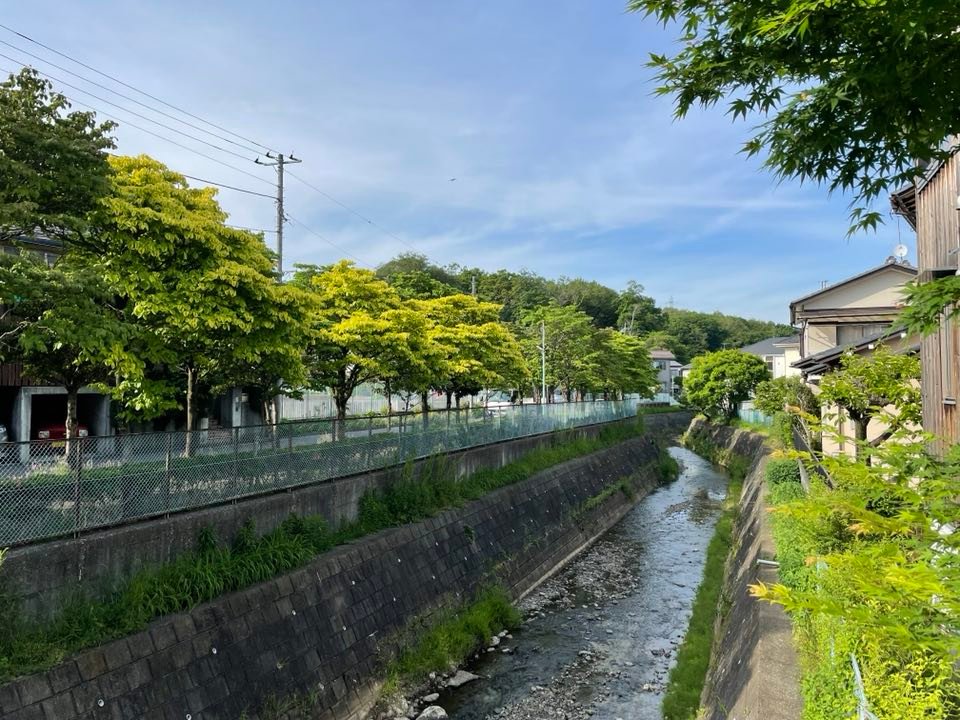 緑豊かな周辺環境