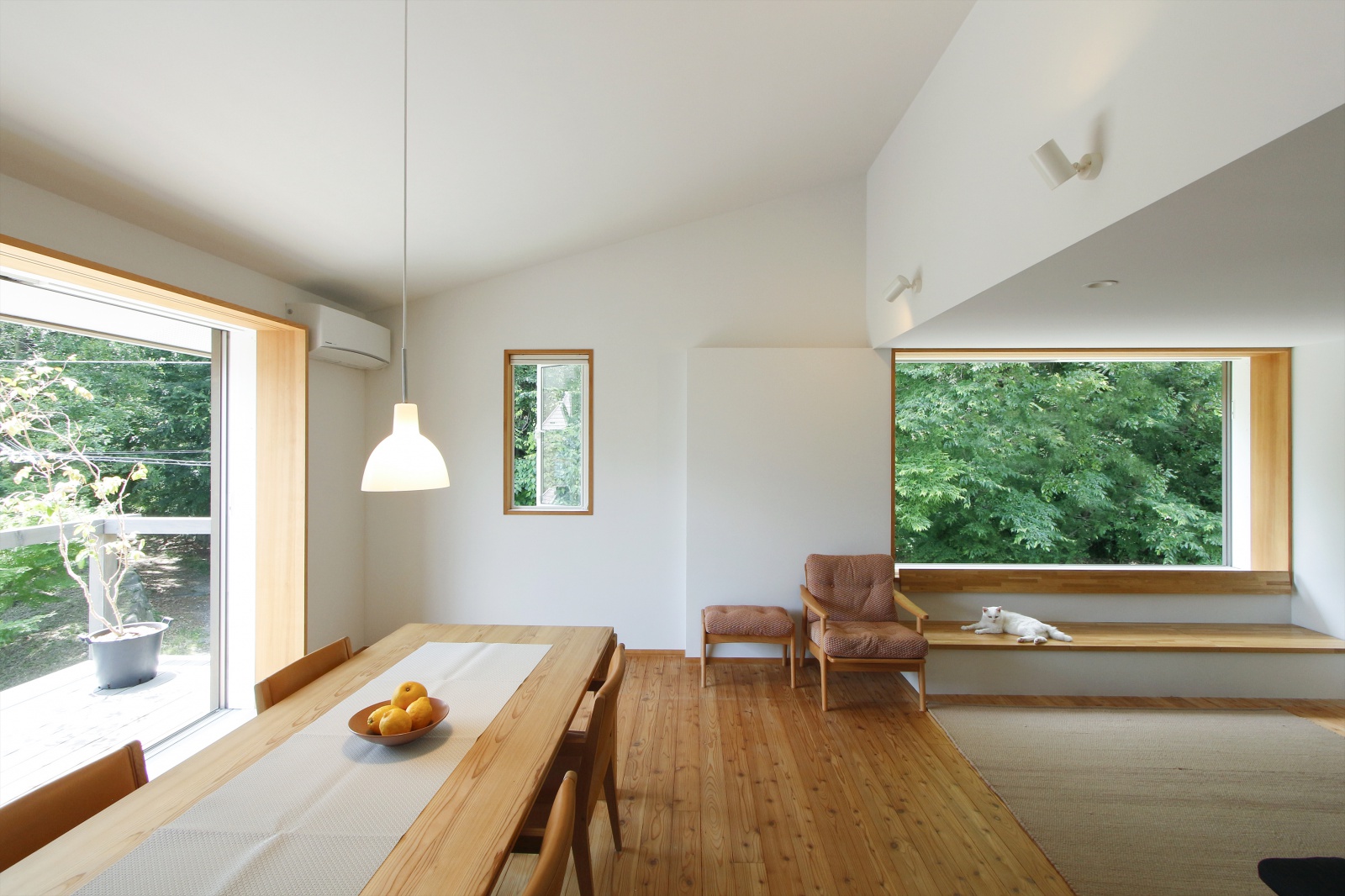 トトロの森を望む家