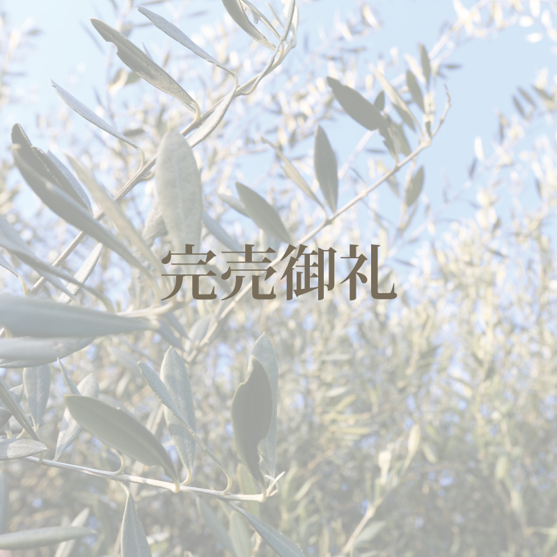 草加市新善町｜中古戸建【完売御礼】