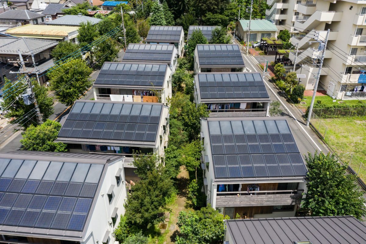 タウンの中心の園路が緑に包まれるような場所になりました。