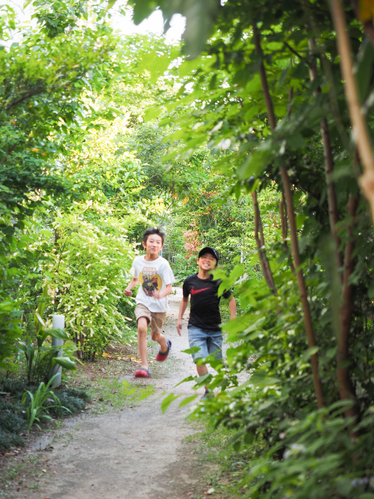 園路はタウンに暮らす子ども達の遊び場になっている。