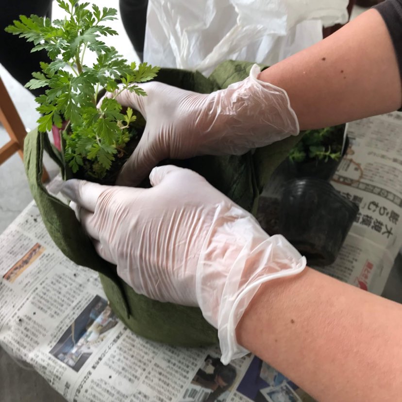 布プランターに寄せ植えします。size：φ15㎝×H19cm