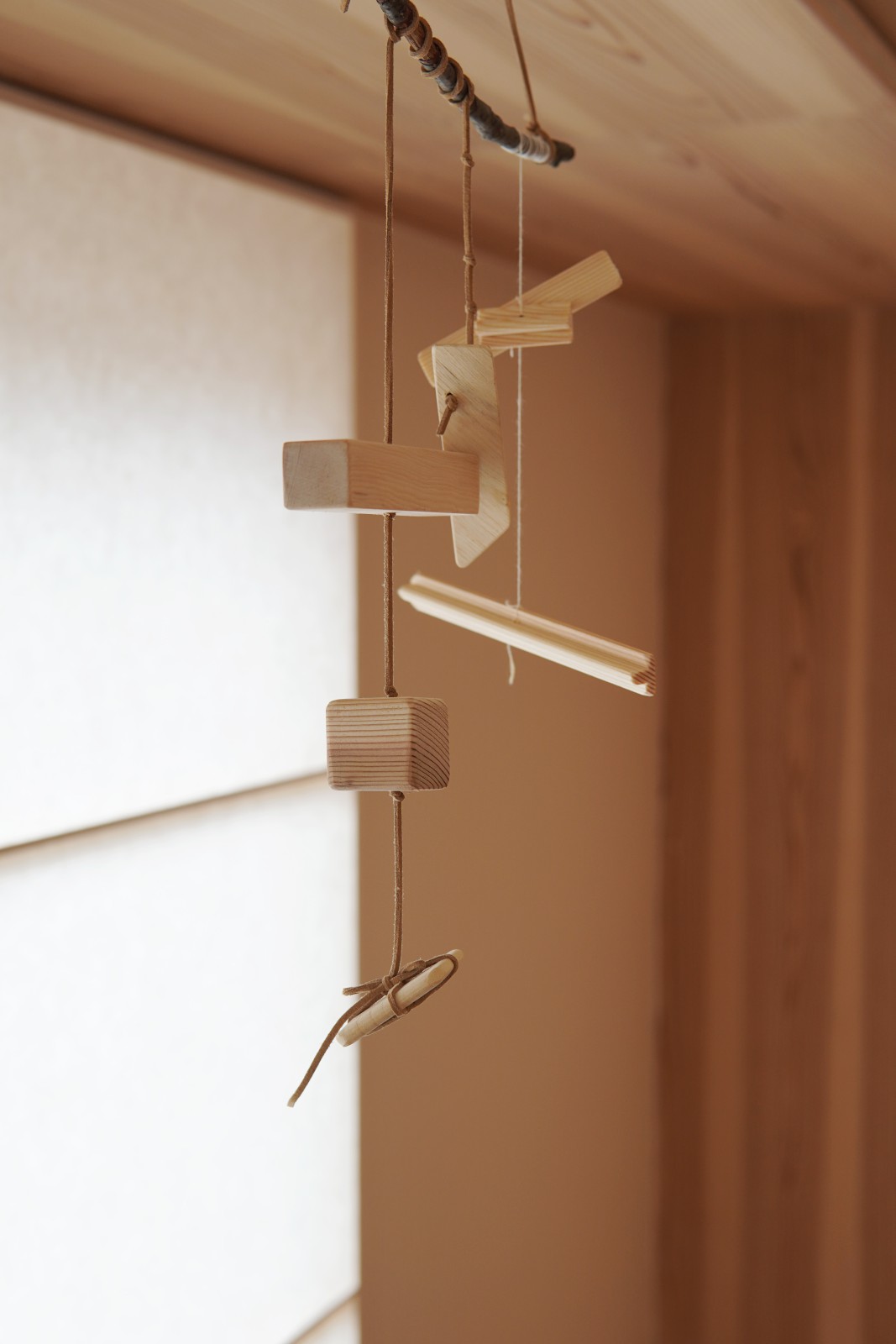 ナチュラルモビール