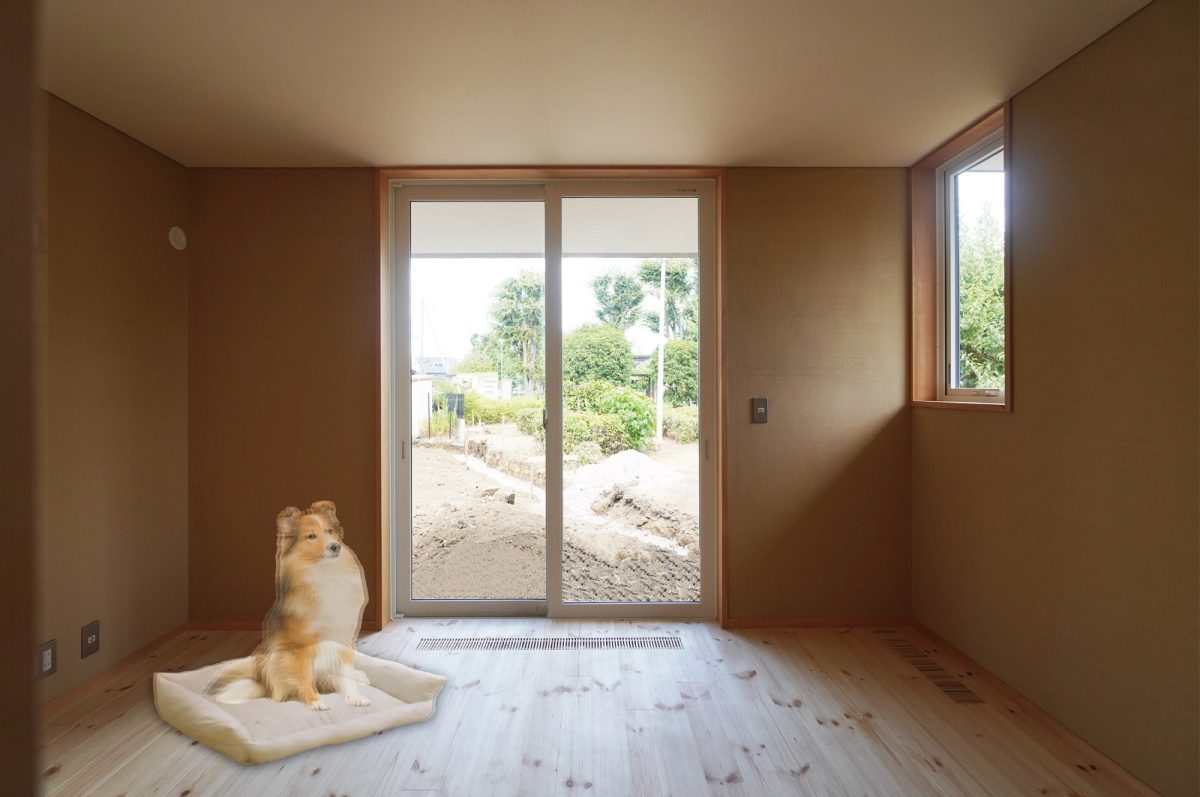 1階｜予備室(犬の部屋)