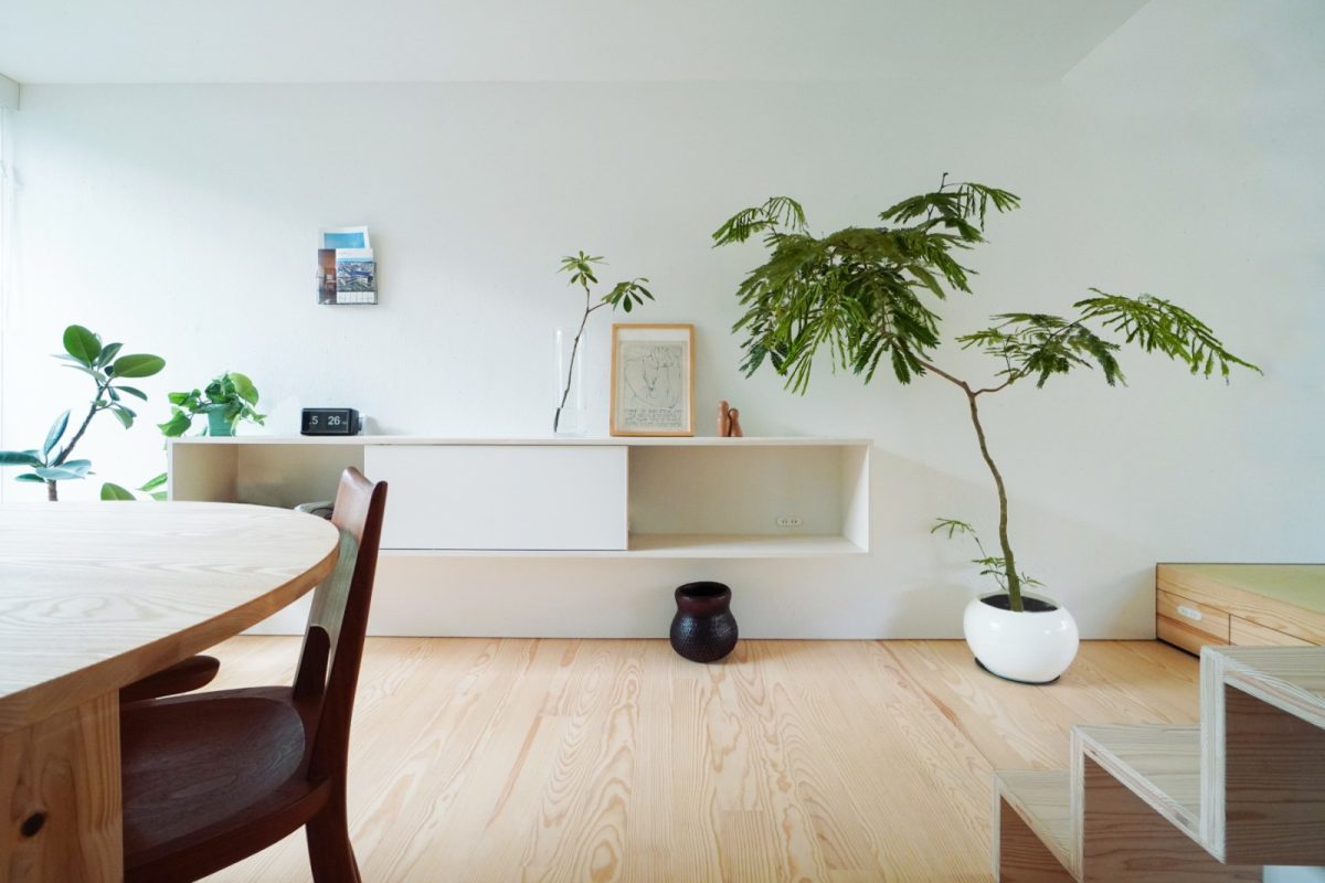 あいばのグリーン事業部による、インナーグリーンを設ました！様々なかたちのグリーンが白い漆喰の壁にとても映えます。