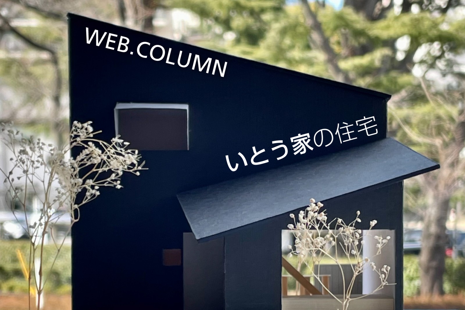 いとう家の住宅｜100TAIKEN