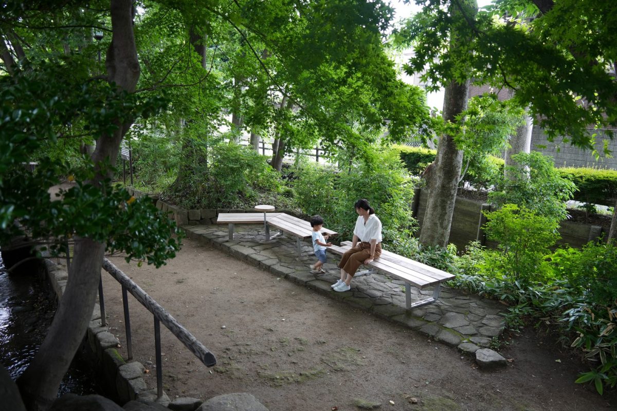 地域の伐採樹木活用「思い出ベンチ」