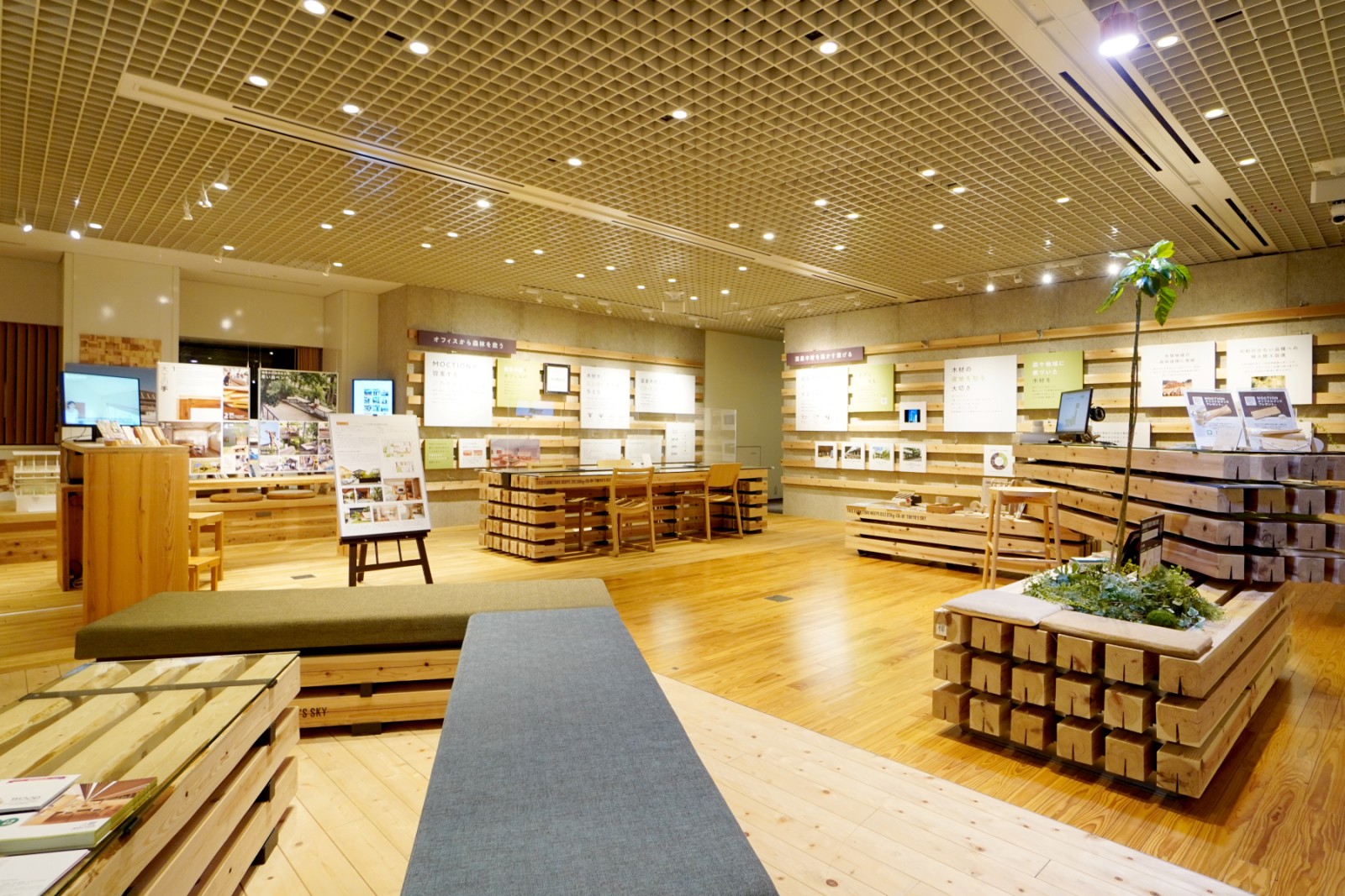 国産材を使ったMOCTIONの木質空間