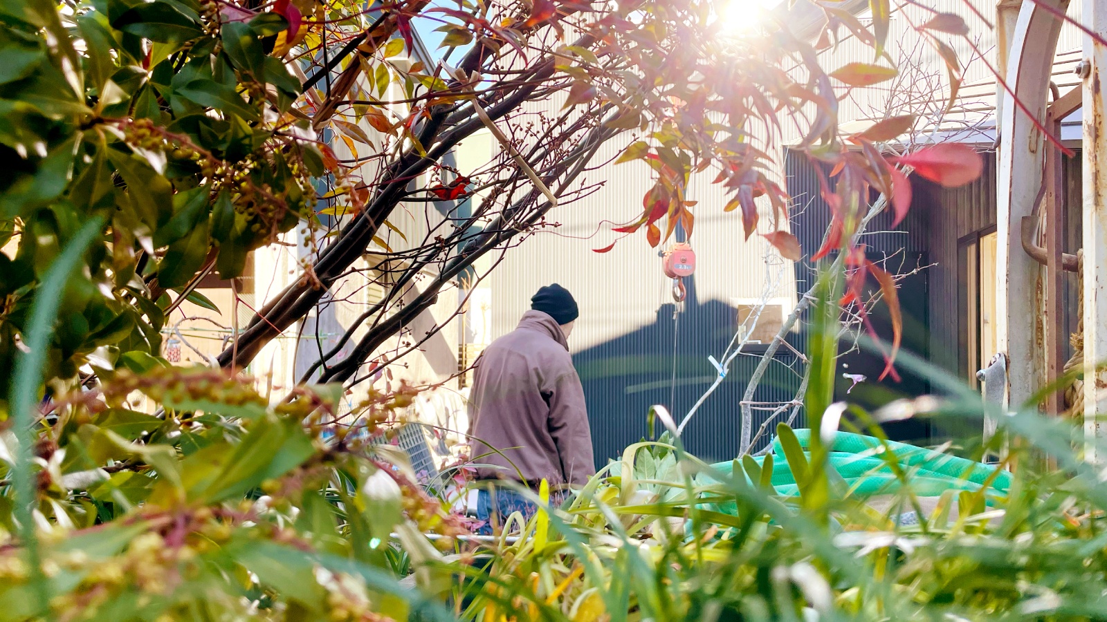 第12回 家を彩る外構・植栽工事|いとう家の家づくり