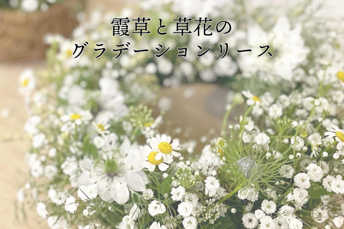 フラワーワークショップ霞草と草花のグラデーションリース（終了）