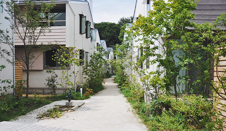 ソーラータウン府中（園路）
