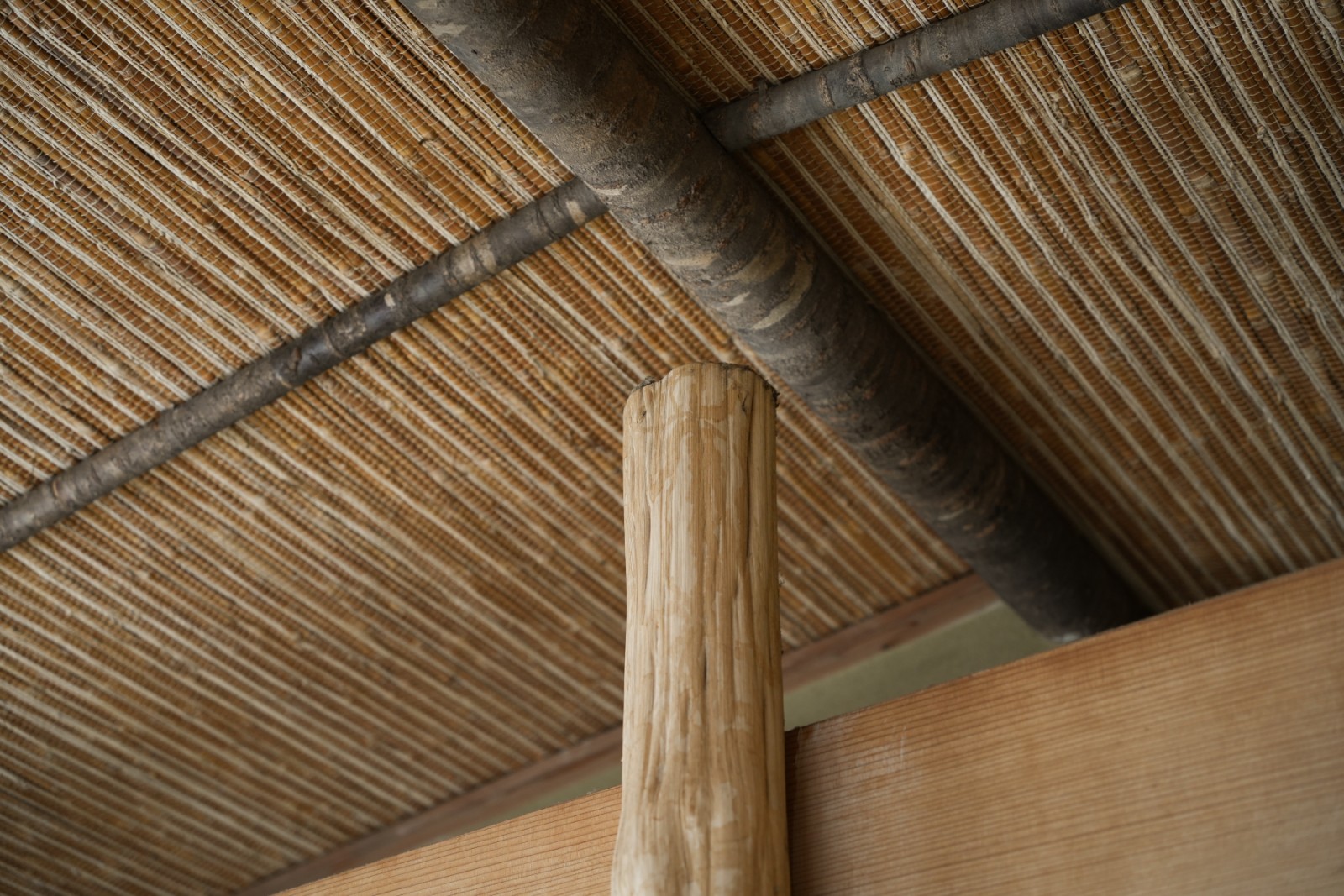 既存を活かした和室天井。