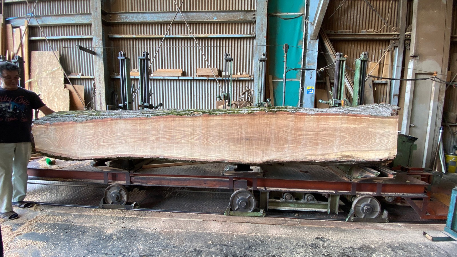 新木場の製材所まで持ち込み、製材しました。