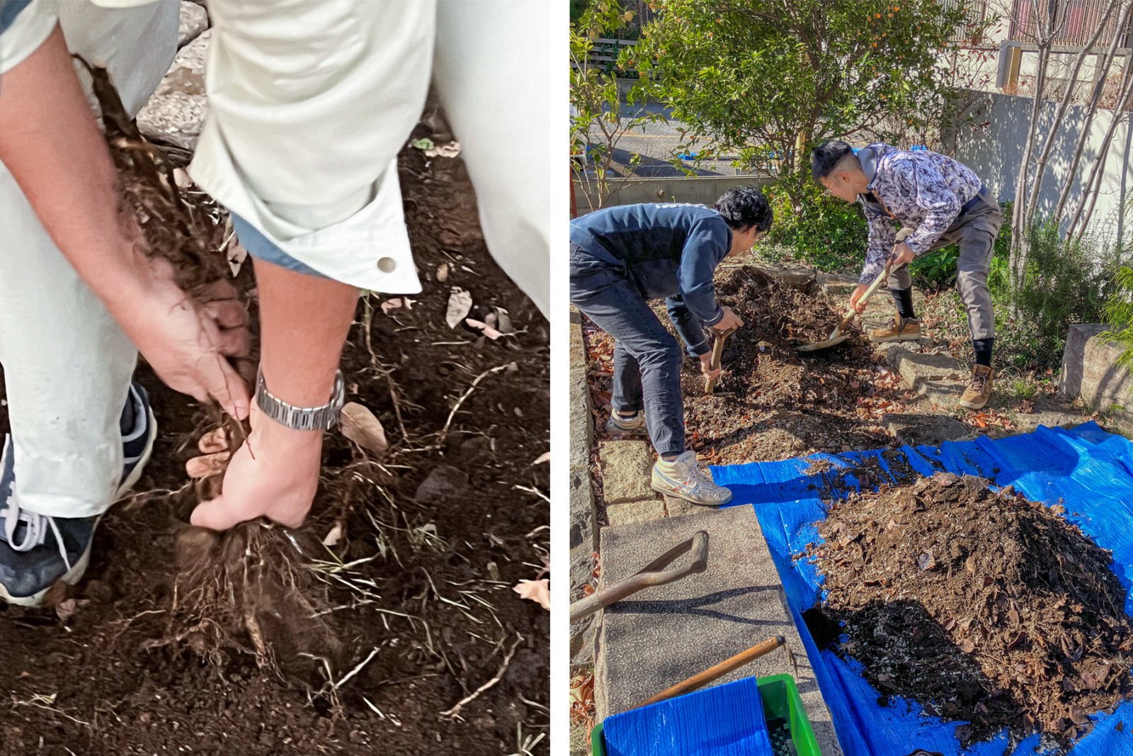 11月、12月｜根っこや石を取り除き、畑の土にコンポストや米糠を混ぜました　