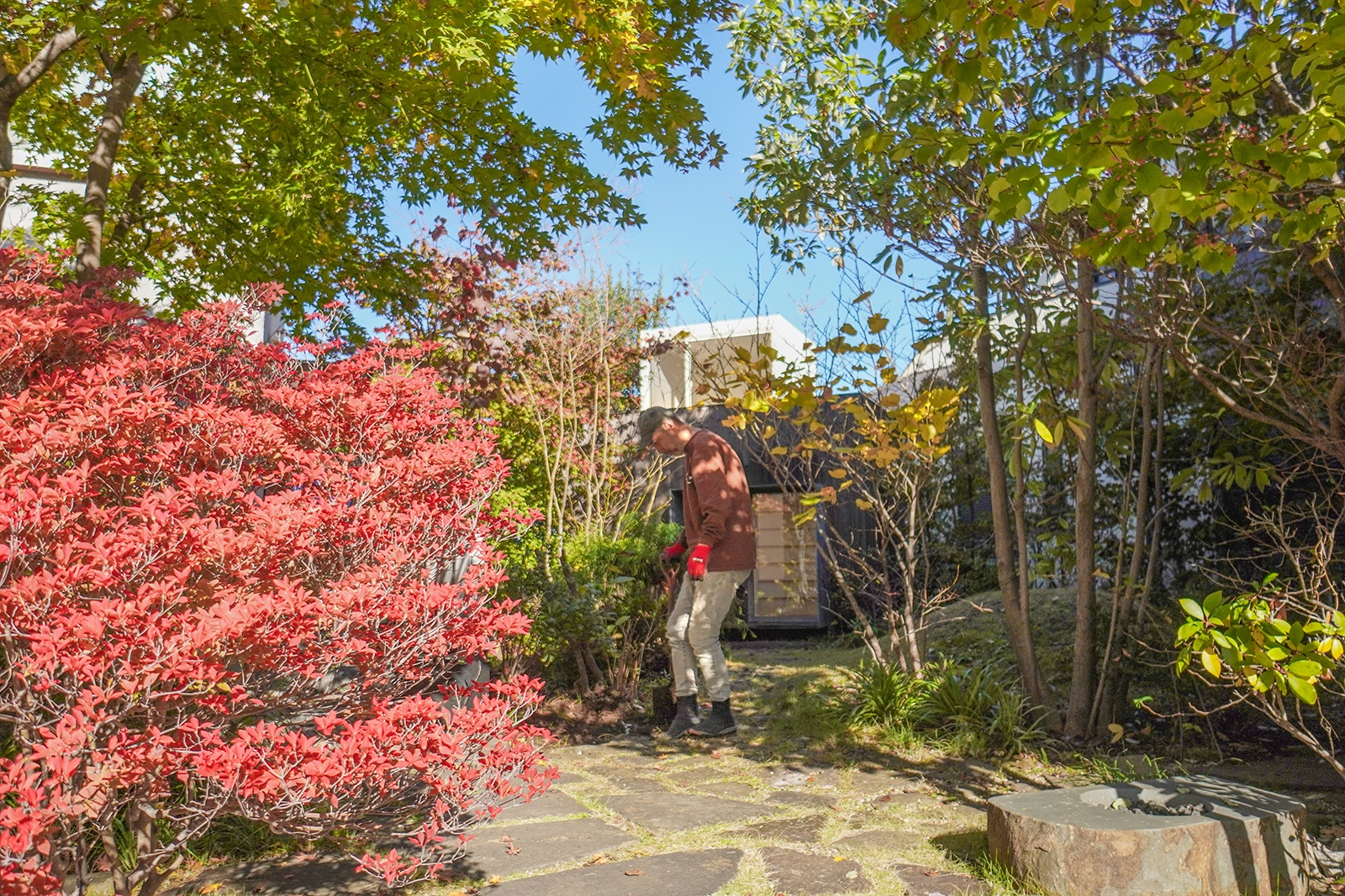 造園家・小林賢二さんのつむじのお庭「模様替え」