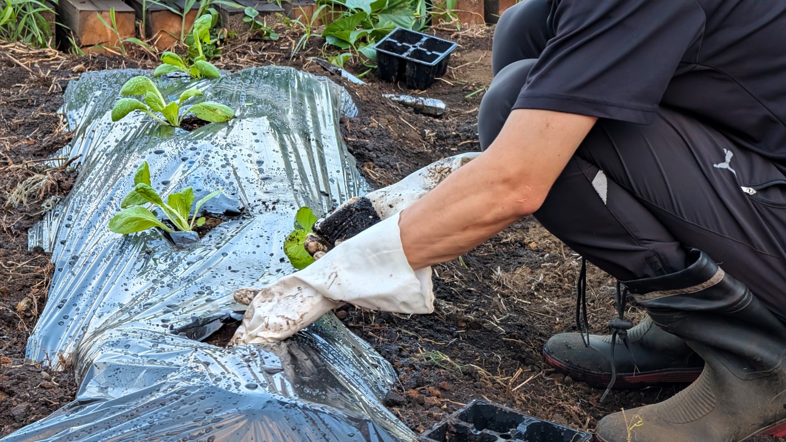 家族で楽しむ畑仕事