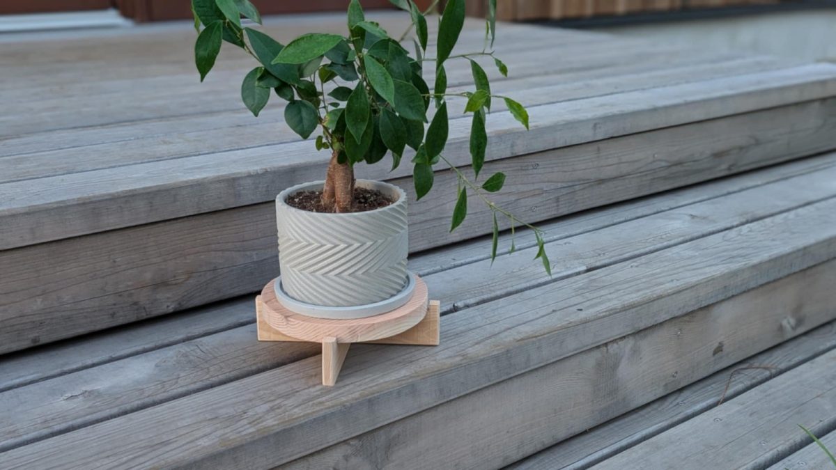 ワークショップ｜プラントスタンド