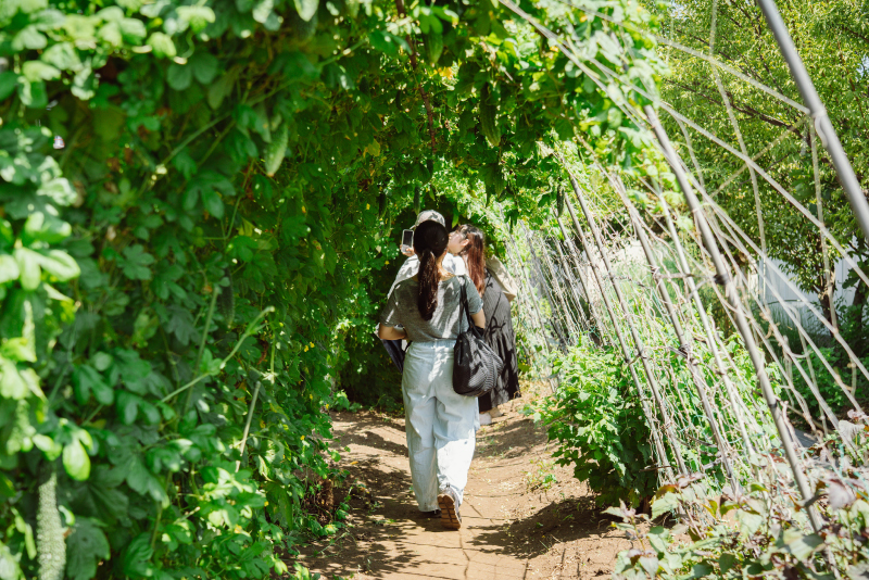 住宅地の中にぽっこりと現れる新田農園が会場