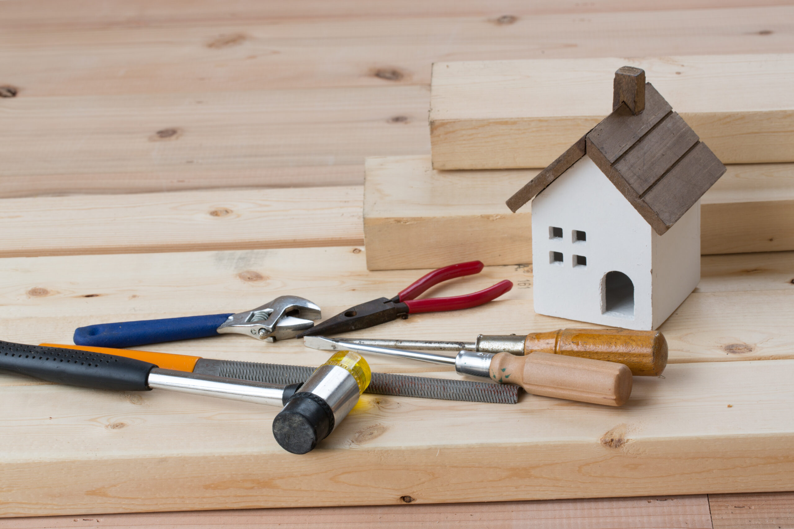 加盟・協力団体