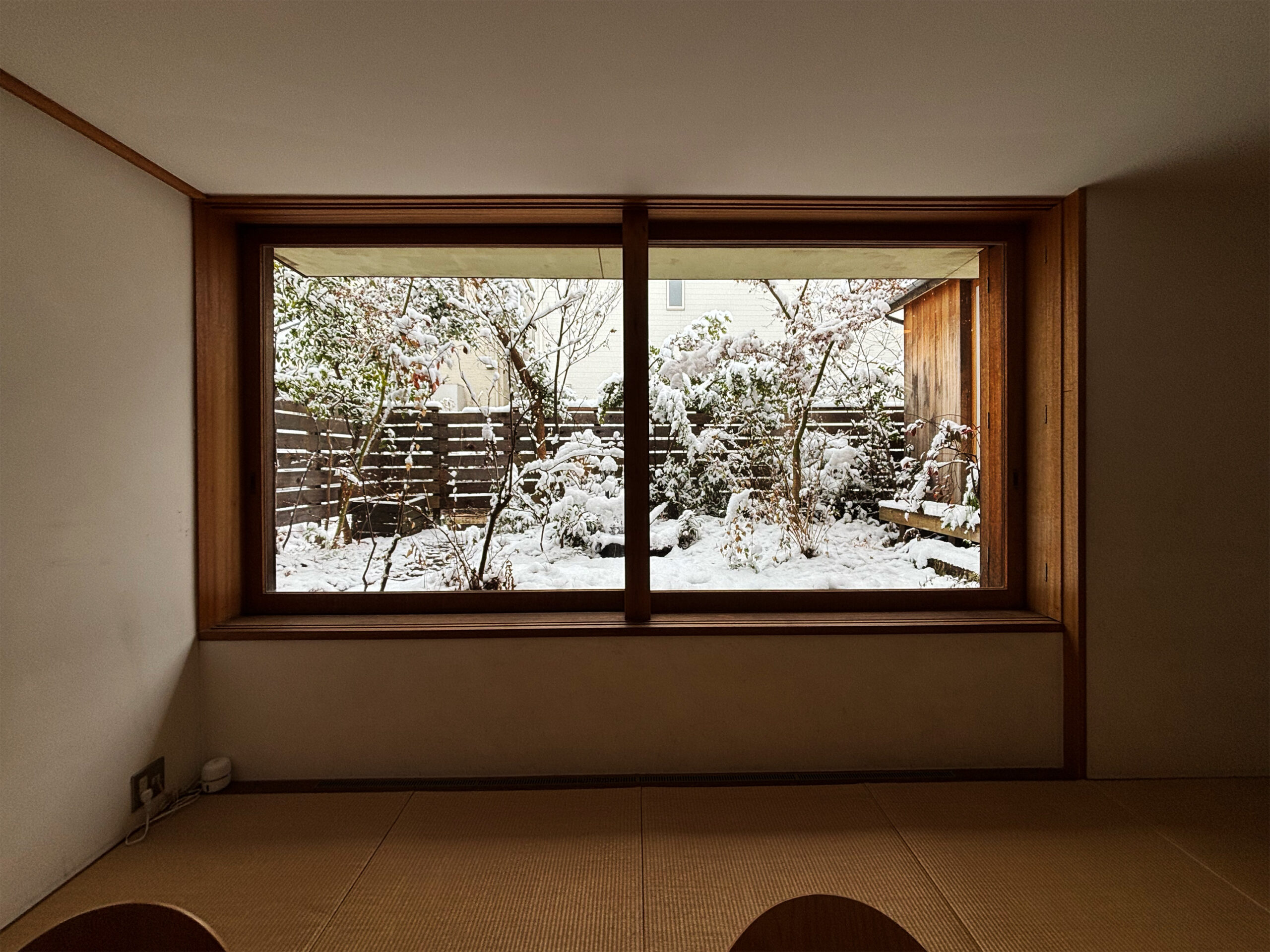 21年目の我が家通信！21年の年月を経て