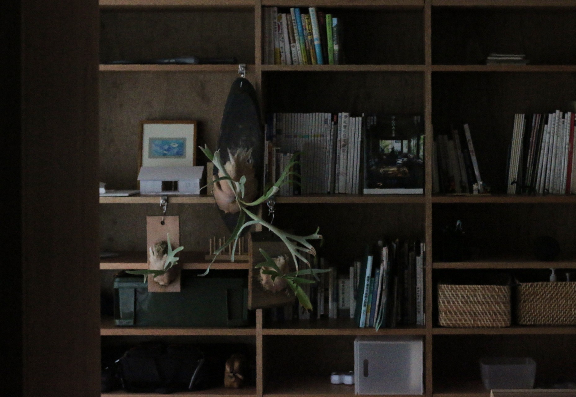 1年目の我が家通信！にしたまの家