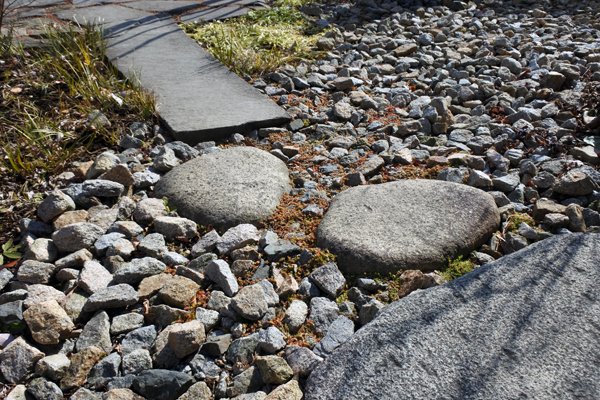 緩急のある飛石