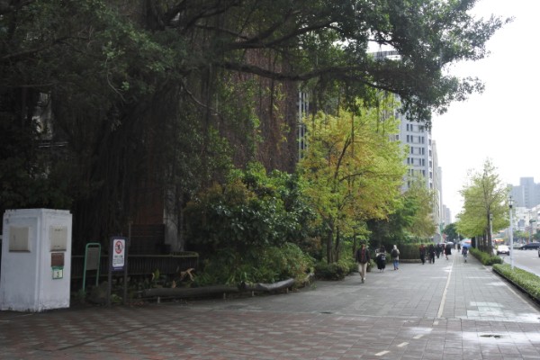 DSC_0458のコピー