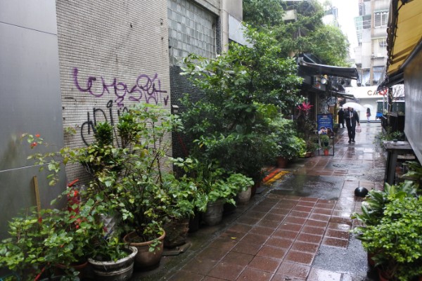 DSC_0548のコピー