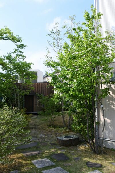 16bGGr8gsV78I8Y1556187405