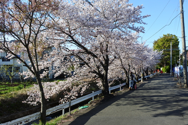 1A_NsvJp12m4XAQ1554958599