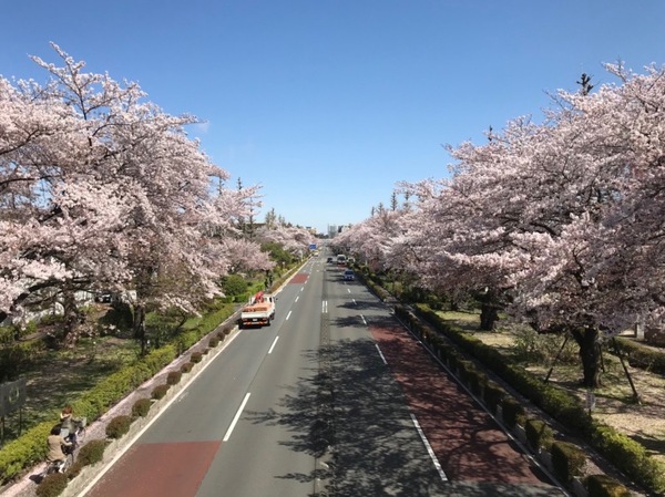 2YogceCRxU8sM8B1554958755