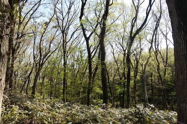 57zx0trNsO3YqV21554958437