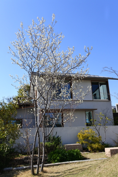 8H43jHMDjz5tcqH1554955252