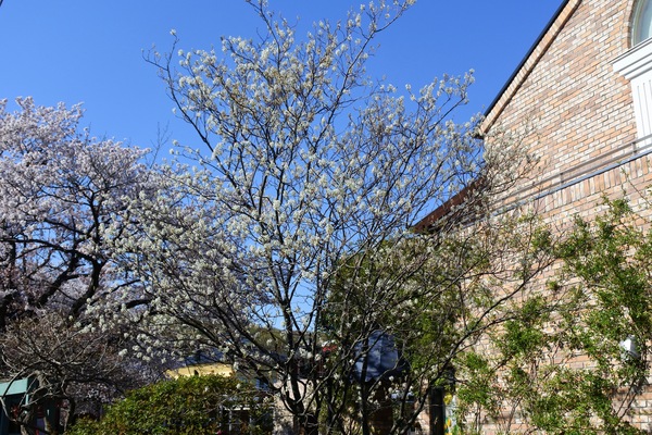 jDgvDj8cPcDoDCv1554958301