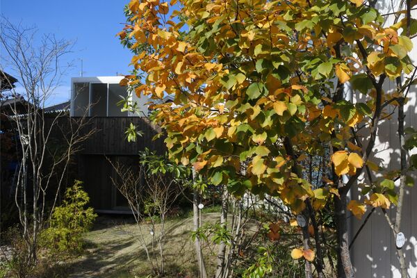 n7RgxbpCptbo3kt1556187349