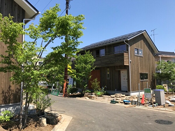 luW5bhzRtdqpJgp1559005565