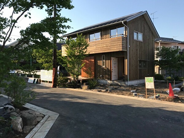 zsMETxYOcdxwugG1559004967