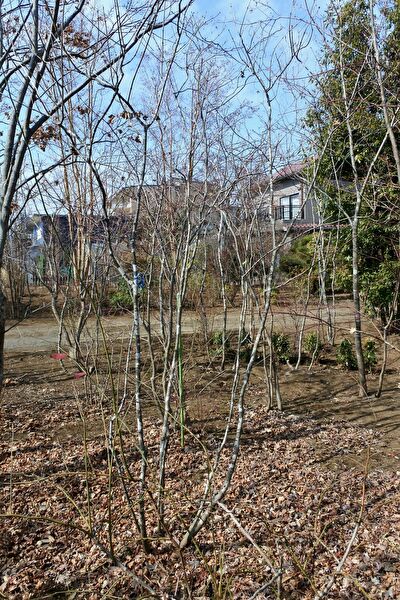 C3LrDdfbjDcNTBT1559439743