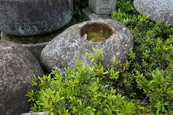 Syy7nYhkHRqw1t61559439768