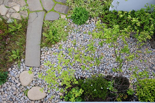 SzIJujn9eQ5pffH1559439950