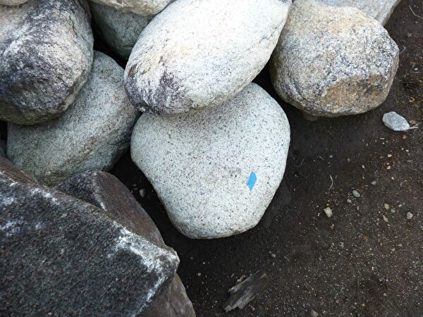 vktvHNYYy2d1e1Z1559440034