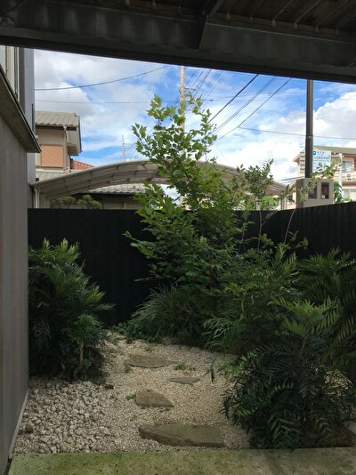 1u4_a2593GTJUya1564134629