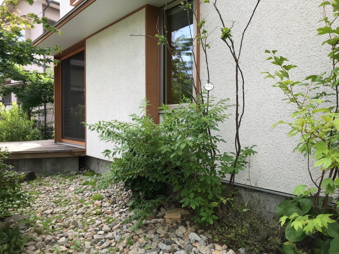 20190726_190726_0009