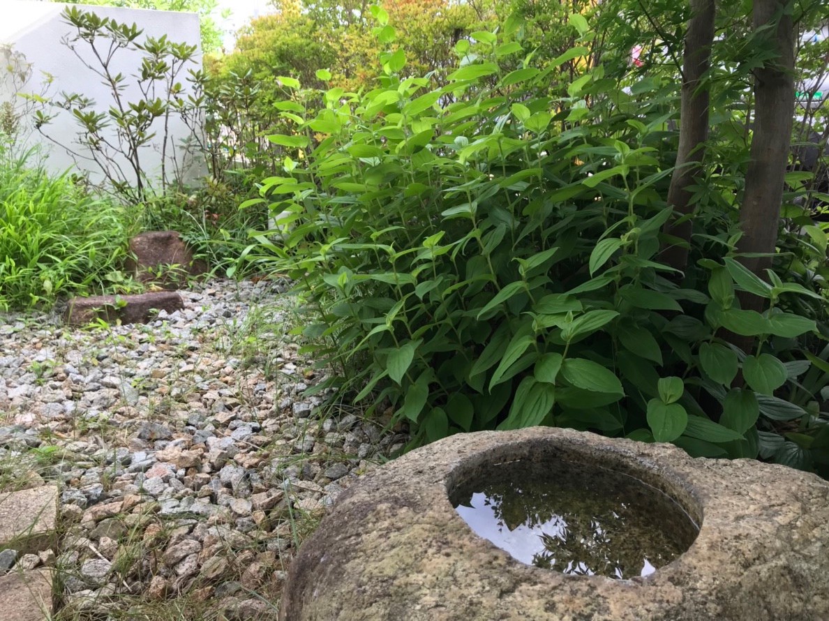 20190726_190726_0011