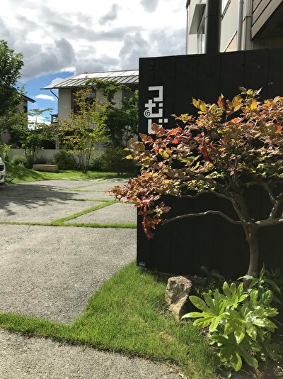 _2YC3pVVq61WEEz1564134669