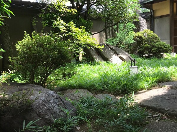 3oDnejFjp1zeLST1565744672