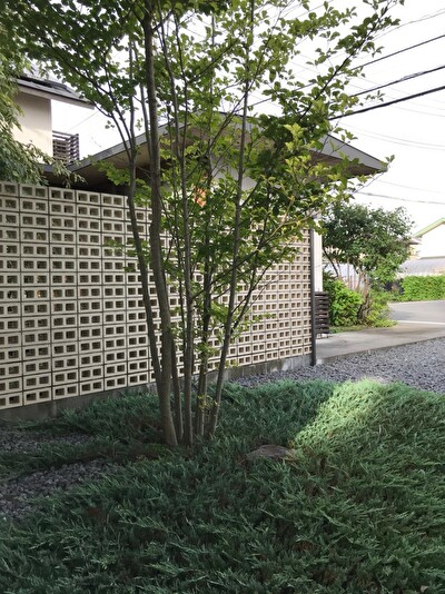 EvOvqOgwAkQRrB71569041869